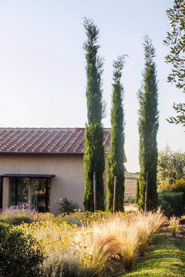 Casale Sterpeti Bed & Breakfast Magliano in Toscana Exterior photo