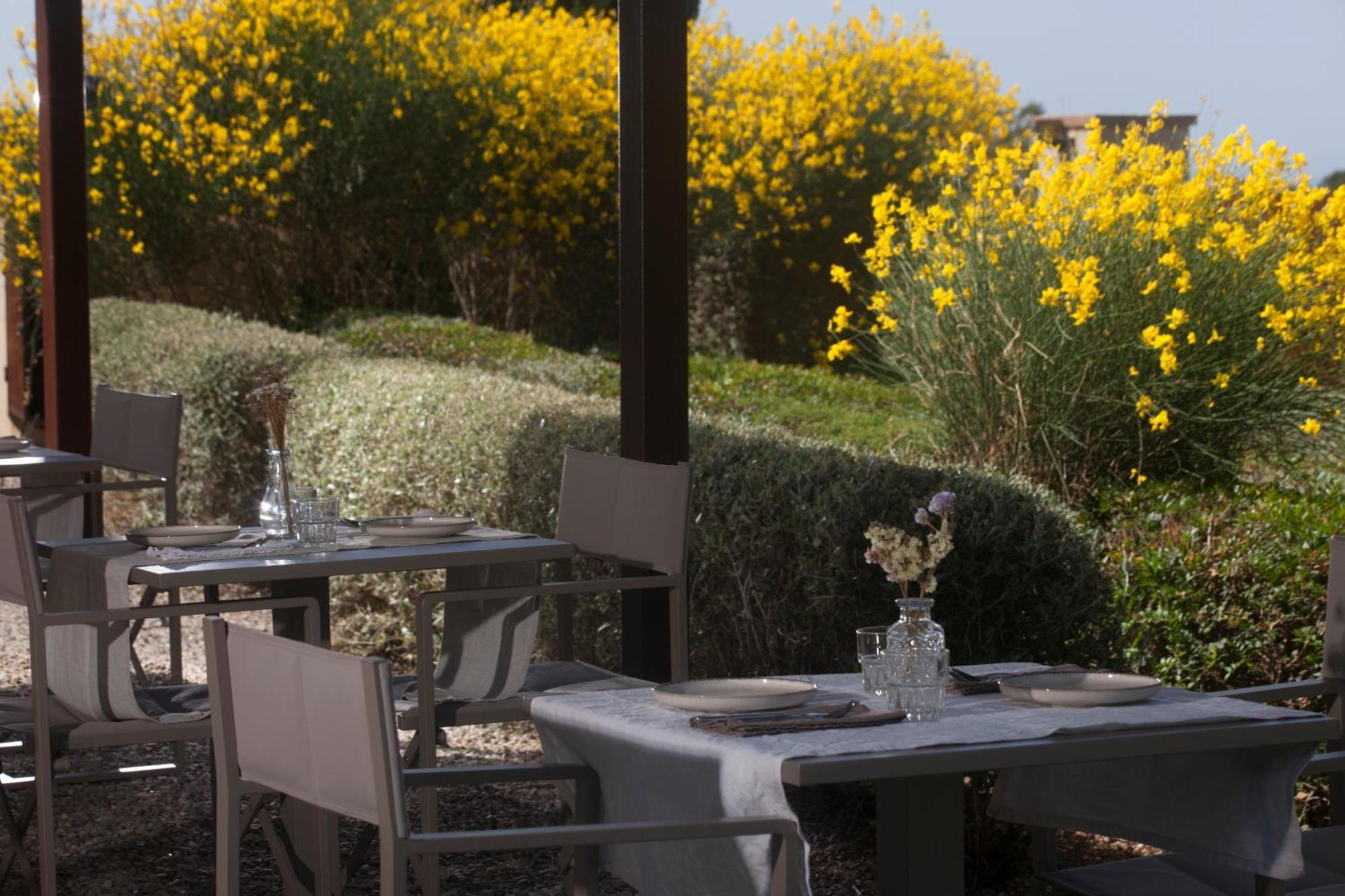 Casale Sterpeti Bed & Breakfast Magliano in Toscana Exterior photo