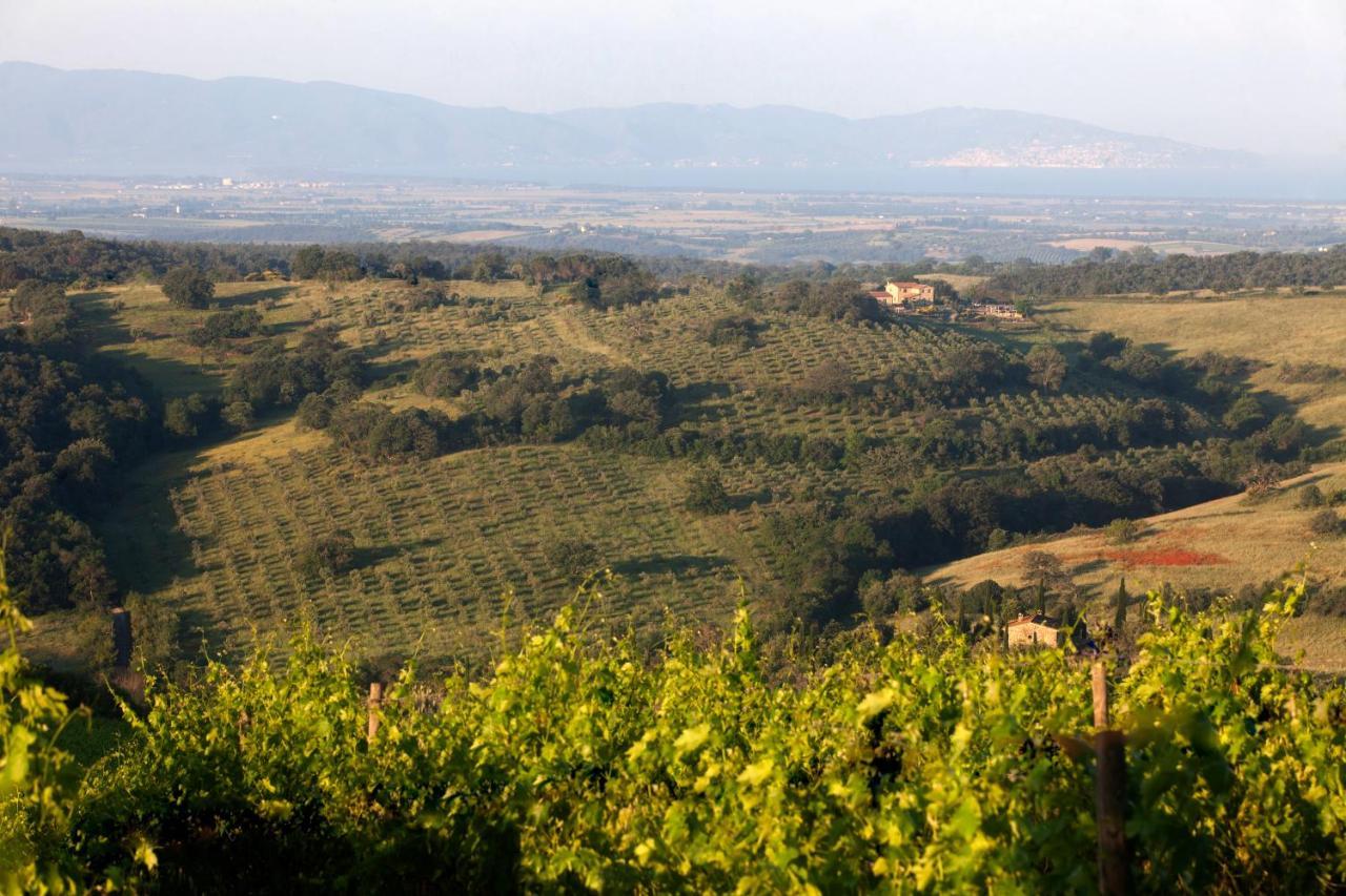 Casale Sterpeti Bed & Breakfast Magliano in Toscana Exterior photo